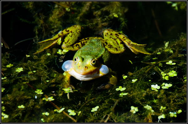 Foto des Monats